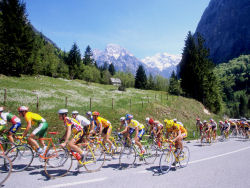 cyclists <br />