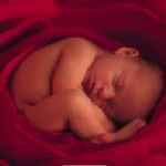 expectant-parents-2011 <br />