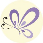 butterfly <br />
