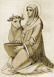 st-brigid-cow <br />