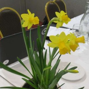 Lunch of Daffodil Day at Treaceys West County Hotel