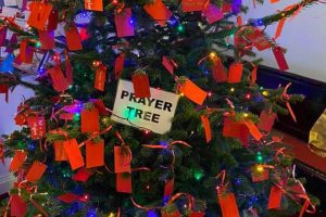 Festival of Trees 2019