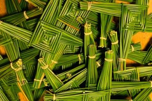 Making St. Bridget’s Crosses