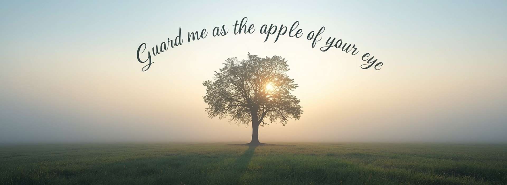 O29