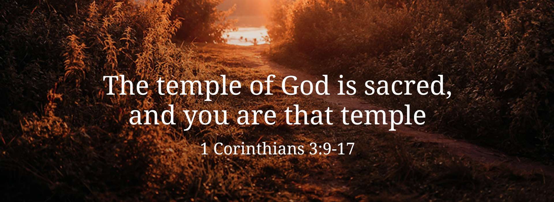 Dedication of the Lateran Basilica